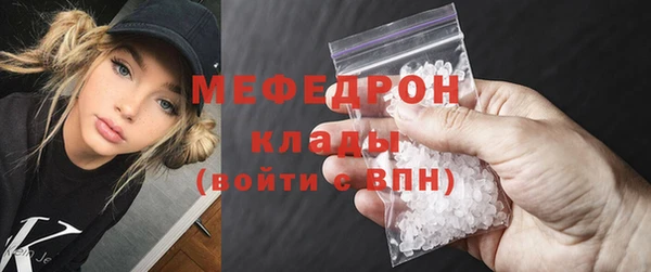 мдпв Инсар