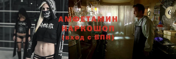 мдпв Инсар