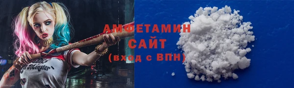 мдпв Инсар