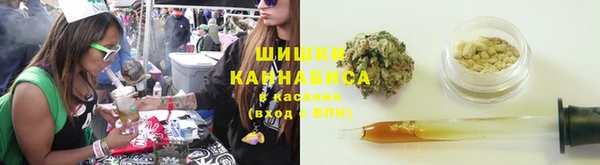 прущие крисы Каменногорск
