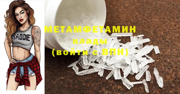 мдпв Инсар