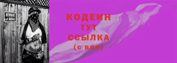 мдпв Инсар