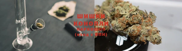 ECSTASY Иннополис