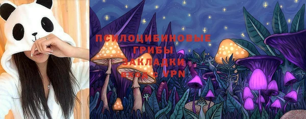 ECSTASY Иннополис