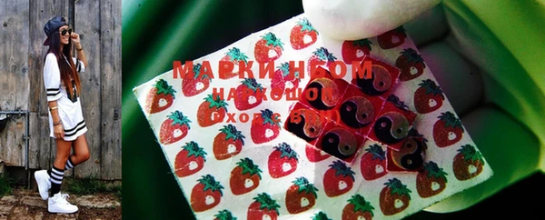 мдпв Инсар