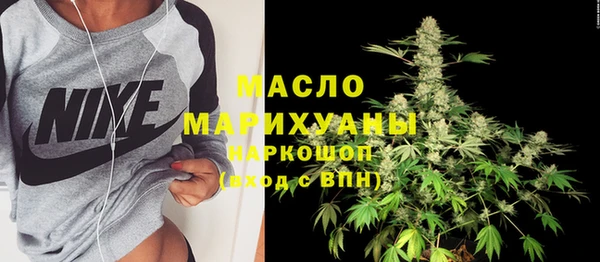 мдпв Инсар
