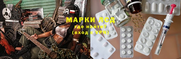 мдпв Инсар