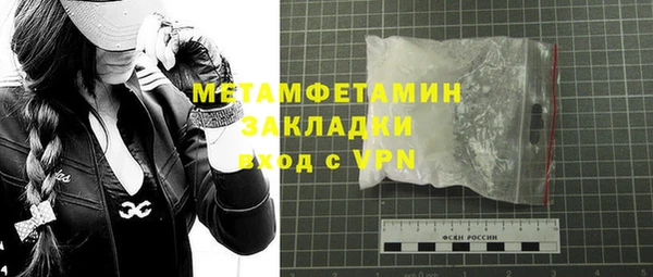 мдпв Инсар
