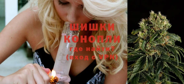 мдпв Инсар