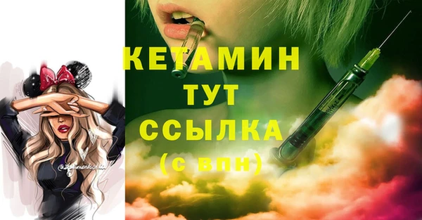 мдпв Инсар