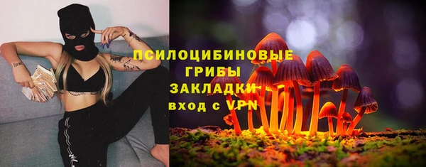 тгк Инта